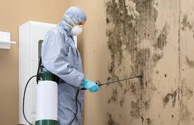 Mold Documentation for Insurance Claims in Cheswick, PA